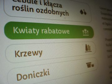 Tworzenie stron Poznań